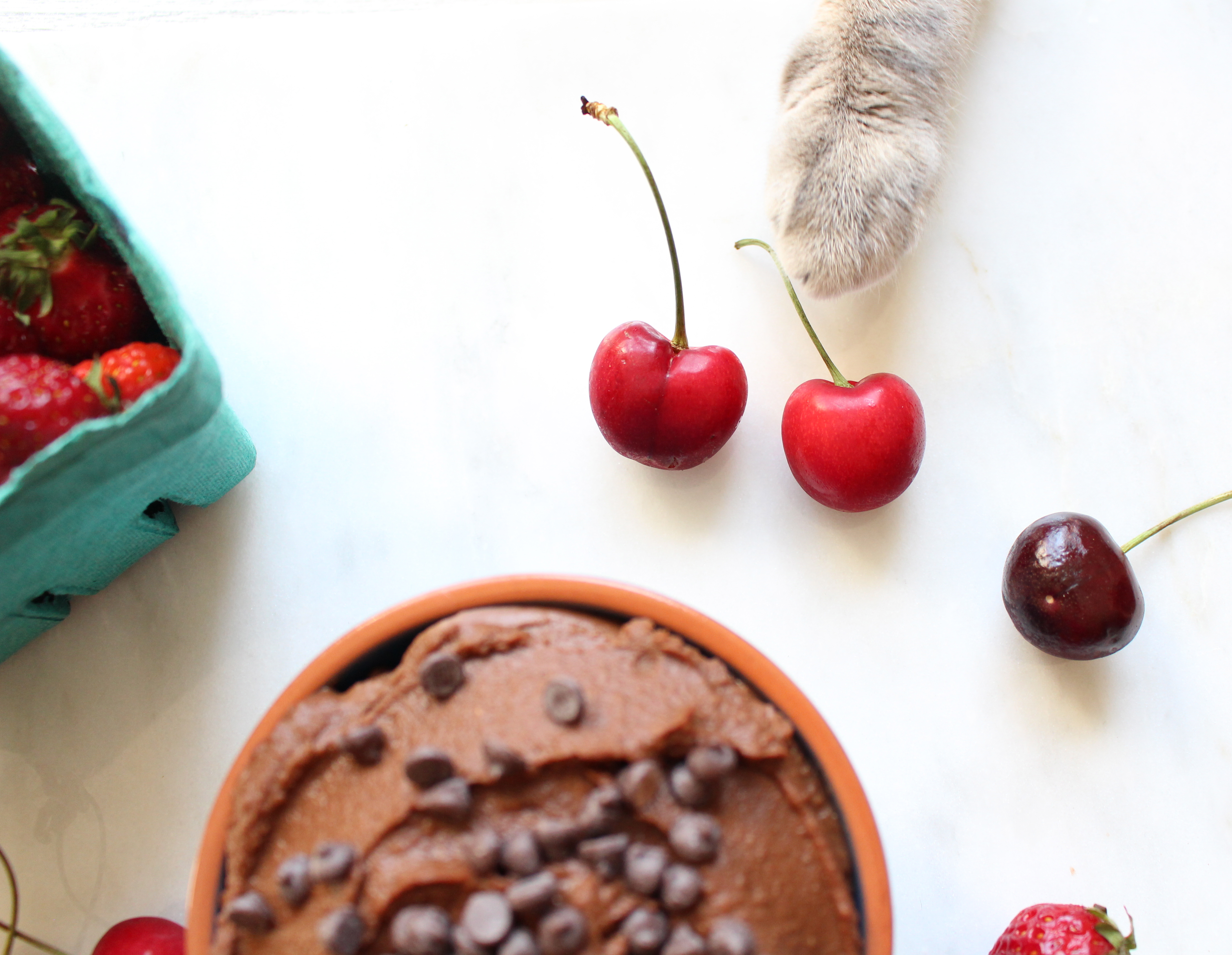 Double Chocolate Chickpea Dip (aka Chocolate Hummus) - a healthy, chocolatey dip for fruits, pretzels, graham crackers... or a spoon! 