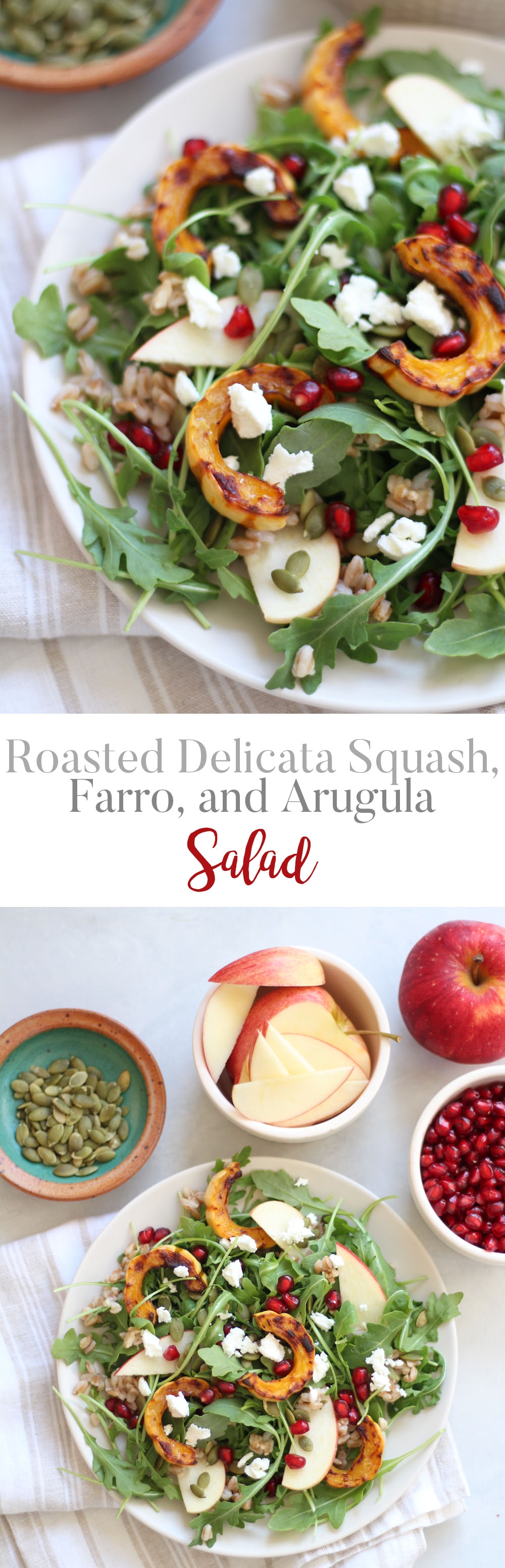 Roasted delicata squash, farro, and arugula salad - the perfect fall and winter salad!