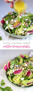 Crunchy romaine salad with fava beans, watermelon radishes, feta, and herbs.